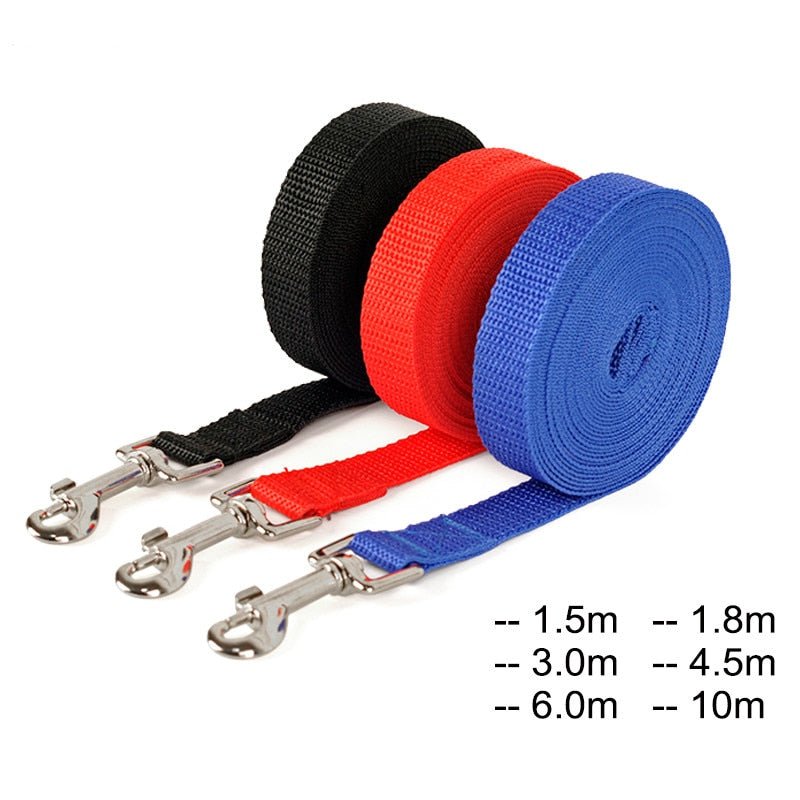 Fashion Dog Nylon Leash | Strong and Lightweight Training Leash for Dogs - Pet Plaza Boutique