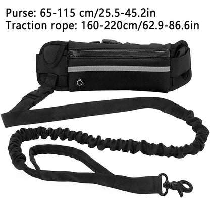 hands free dog leash with waist bag reflective nylon leash