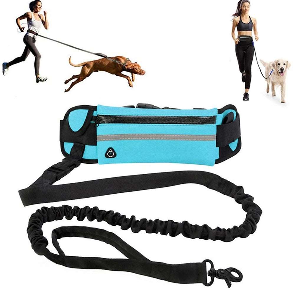 hands free dog leash with waist bag reflective nylon leash