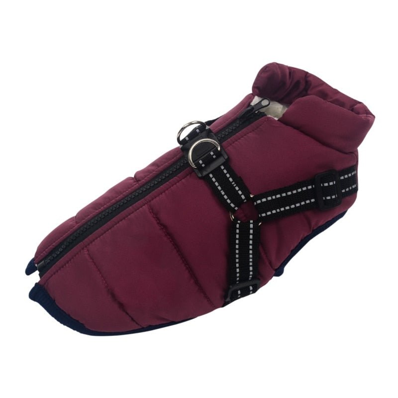 Large Pet Dog Clothes - French Bulldog Winter Coat with Harness - Pet Plaza Boutique