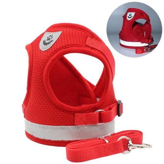 Padded Retractable Dog Leash | Strong and Durable Harnesses for Dogs and Cats - Pet Plaza Boutique